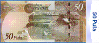P50 back